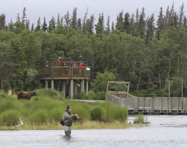Bears, humans coexist in Alaska park